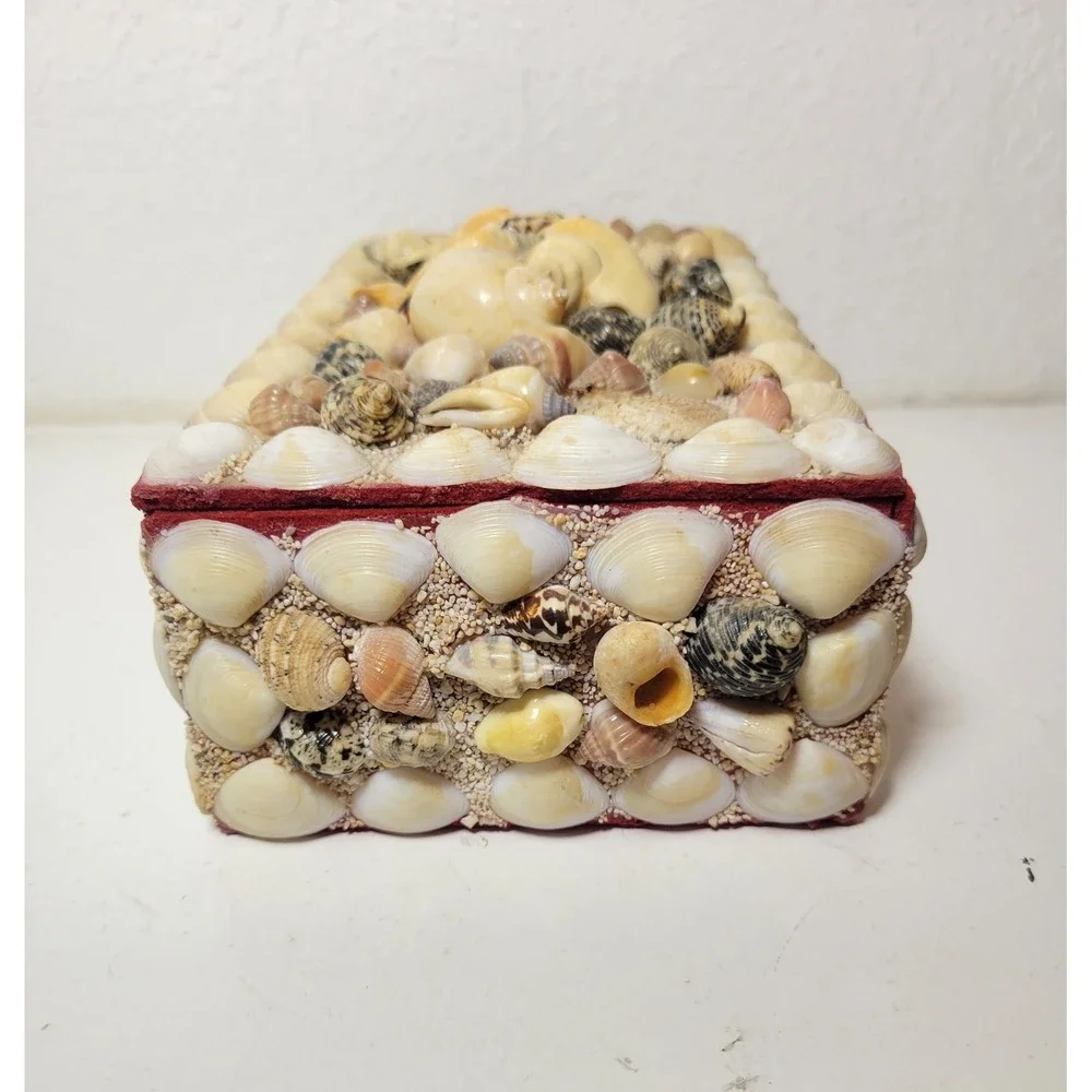 Vintage‎ Sea Shell  Trinket Jewelry Red  Felt Lining